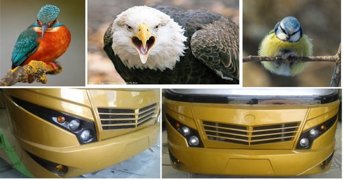 Luxury Bus G-sharp