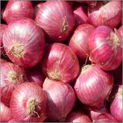 Onion