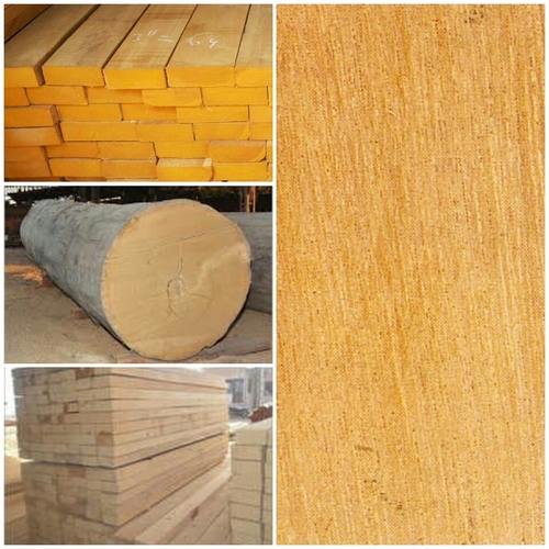 Yellow Meranti Wood By SITA RAM & CO. PVT. LTD.