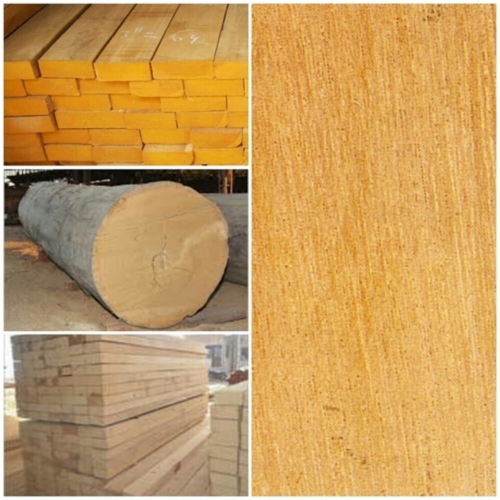 Yellow Meranti Wood - Feature: Durable