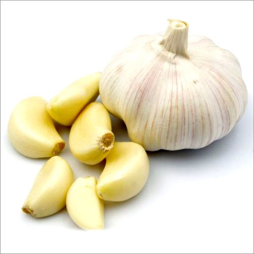 Organic Garlic