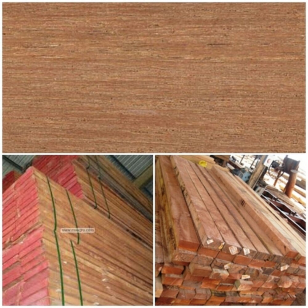 Kapur Wood - Feature: Durable And Sturdy