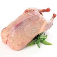 Duck Meat - Whole Drust , Premium Frozen Poultry, Rich In Protein And Vitamins