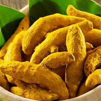 Turmeric Finger