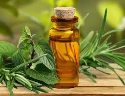 Natural L-Carvone