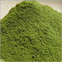 Moringa Oleifera Powder
