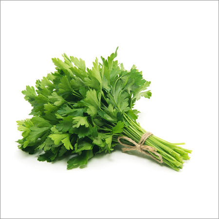 Corainder Leaves