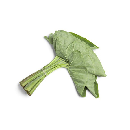 Colocasia Fresh Leaves