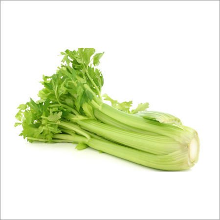 Green Celery