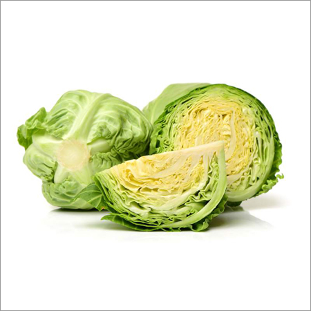 Fresh Green Cabbage