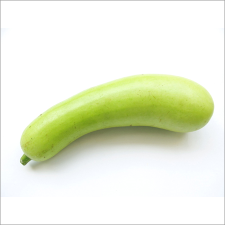 Ash Gourd