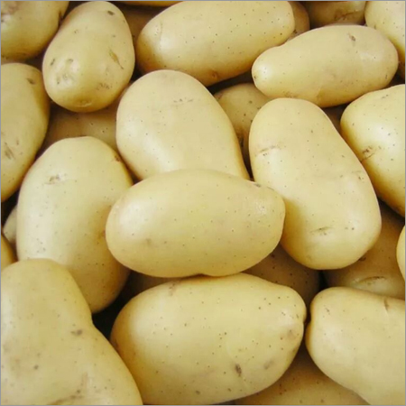 Fresh White Potato