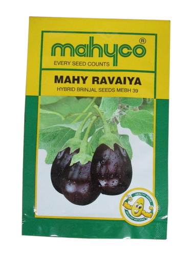 Brinjal Seeds