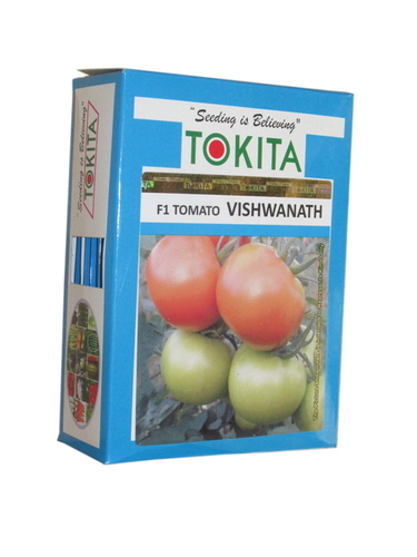 Tomato Vishwanath