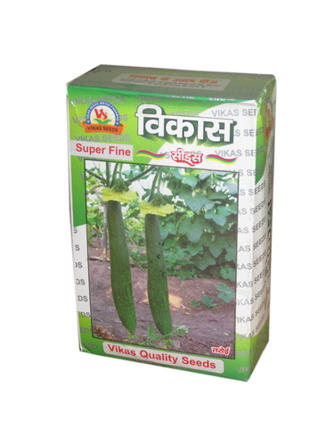 Sponge gourd seeds