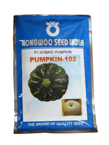 Pumpkin Hybrid Seeds