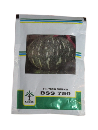 Pumpkin Hybrid Seeds