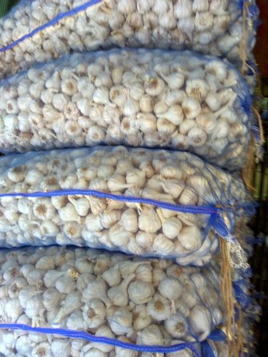 White Garlic