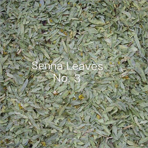 Herbal Senna Leaves
