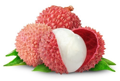 Lychee Real Fruit Extract Soft Drink Concentrate