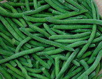 Frozen Beans