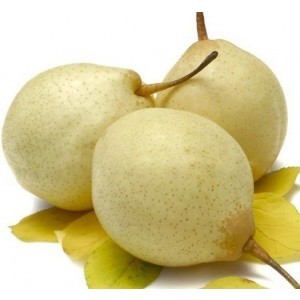 Fresh China Pears