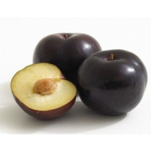 Fresh Plum