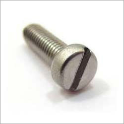 Cheese Head SS Screw