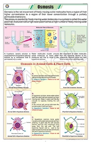 Osmosis Chart