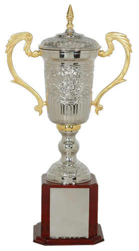 Conical Alumunium Award Trophy