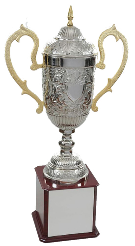 Conical Alumunium Trophy