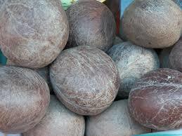 Coconut Copra Coconut Copra