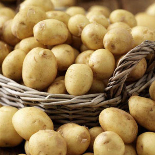 Organic Potato