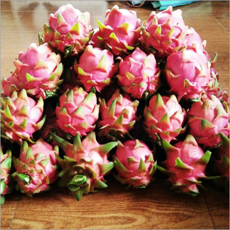 Purple Dragon Fruit