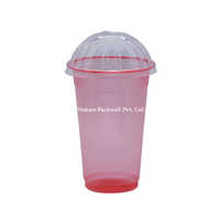 Red Plastic Glass