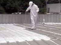 Summer Cool Paint