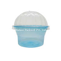 Blue Plastic Cup