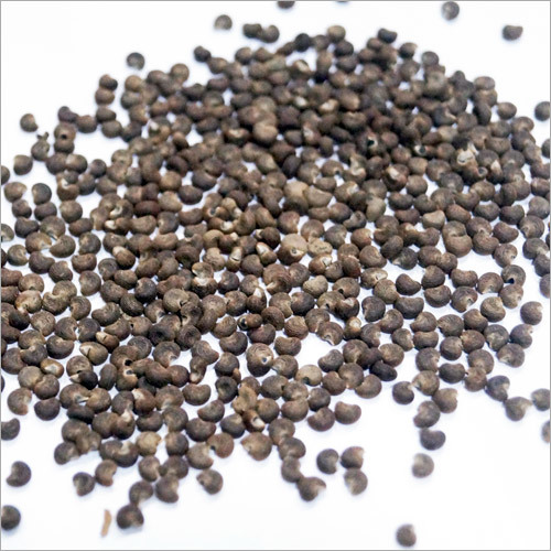 Ambrette Seed