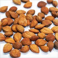 Bitter Apricot Kernels
