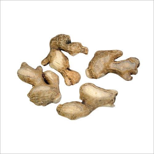 Dried Ginger