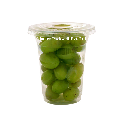 Trasparent Disposable Glass