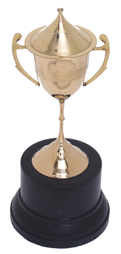 Cup Trophy Award - Bronze, 10 Inch, Golden Conical Design | Artificial Style, Ideal for Business Gifts and Souvenirs, Weighs 300g