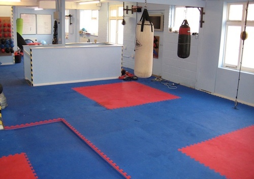 EVA Foam Rubber Mat - 40x40 Inches | Anti-Slip Anti-Bacteria Waterproof Quick Drying Stain Resistant Washable Colorful Interlocking Design for Gym and Commercial Use