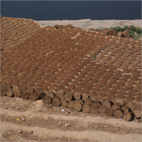 Cow Dung Powder