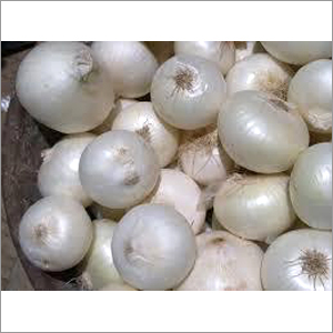 White Onion