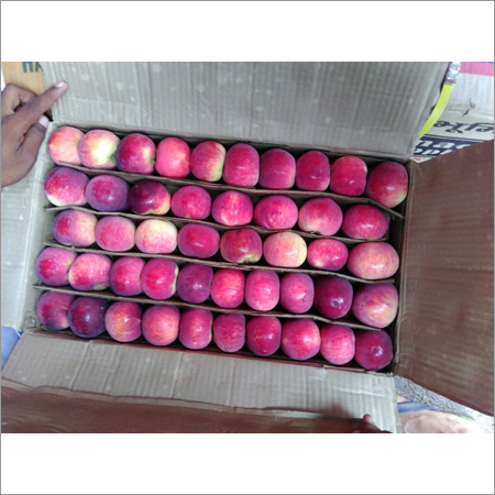 Fresh Apple
