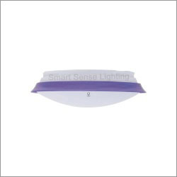 LED Ceiling Light