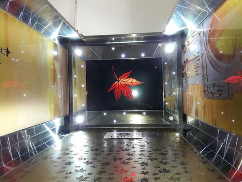 Stainless Steel Elevator Cabin