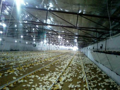 Farming Insulation Material