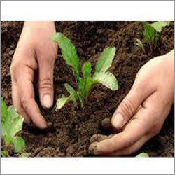 Bio Pesticides